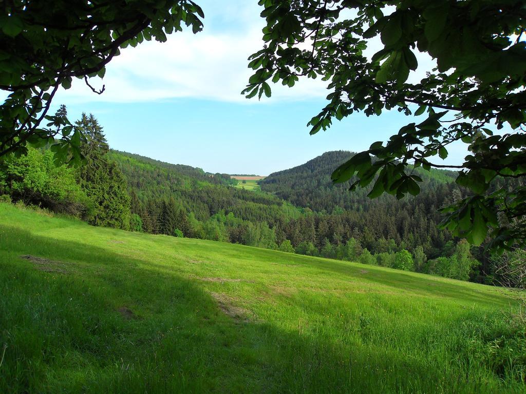 Ferienwohnung Wildenreuth Weidenberg Екстериор снимка