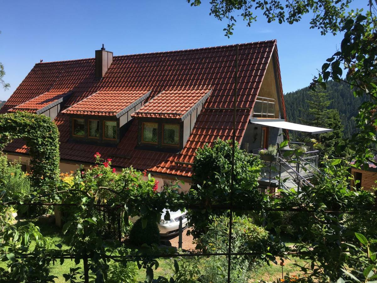 Ferienwohnung Wildenreuth Weidenberg Екстериор снимка